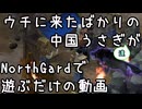 ウチに来たばかりの中国うさぎ達がNorthGardで遊ぶだけの動画