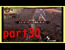 【モンハン4G】横切るゴーヤ　part30