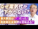 電気代高騰の最大要因は？脱炭素社会の実現は意味ある？杉山大志【赤坂ニュース161】参政党 ※未公開シーン