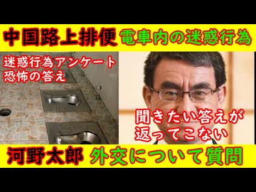 【中国路上排便】驚愕の電車内迷惑行為アンケート【河野太郎】「外交について聞きます」➡期待外れ・もっとうまく聞け！
