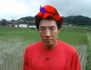 お米食べろ