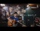 泣かない - 冨永ケンタ [2024/8/24 録画] [4K] [字幕付き]
