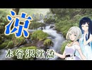 涼を求めて木谷沢渓流に行ってきた【ソフトウェアトーク旅行】