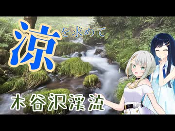 涼を求めて木谷沢渓流に行ってきた【ソフトウェアトーク旅行】