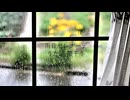 雨音セレナーデ/花隈千冬
