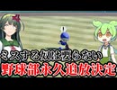 最後の夏によくそんなミス出来るよな...【パワフルプロ野球2024-2025】PART6