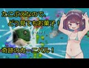 【きのこたけのこ戦争IF】きりたんが難易度デスマーチを最短ターンで制覇勝利！part34【RTS】