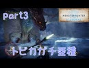 【独り言実況】ゲーム内方向音痴が喘ぐ？モンハンアイスボーン【Part3】