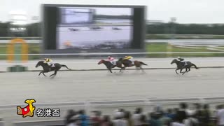 第28回名港盃 ロードランヴェルセ