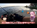 琴葉姉妹と行く釣行記録（海釣り編part40）