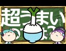 おねぎごはんごはんねぎ / 初音ミク&唄音ウタ