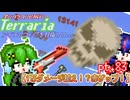 【ゆっくり実況】1万ダメージ越え！？赤ザップ！【ポンコツコンビが行く！アイテムコンプリートを目指して...】 pt.83