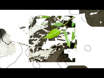 今起きる - ねこみかん