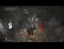 【ゆっくり実況】えるでんりんぐのDLC！　その二十二