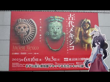 中国うさぎの放し飼い　上野編（ボツ）