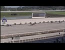 2024年7月21日高知競馬3R ２歳新馬 壱 ヤマノアシオト