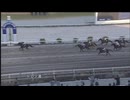 高知さんさんテレビ杯 第21回トレノ賞 ヘルシャフト