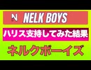 ハリス&ウォルズの応援看板を勝手に設置してみた結果【ネルクボーイズ】