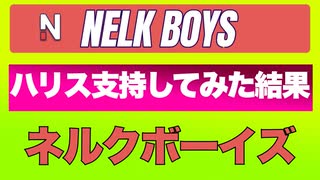ハリス&ウォルズの応援看板を勝手に設置してみた結果【ネルクボーイズ】