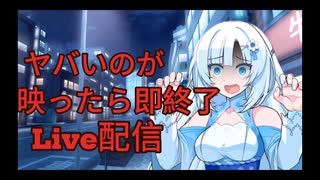 ヤバいの映ったら即終了配信
