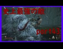 【SEKIRO】友人に勧められたゲームを完全初見でやってみた　part43　もはやラスボス