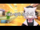 迷い猫小夜さん