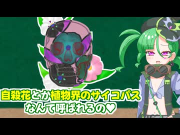 メスガキ先生とヤンデレちゃん横長版２６「ゴジアオイ」