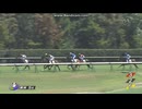 エンジェルマーク　2歳新馬