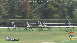 エンジェルマーク　2歳新馬