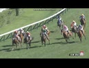 2024 シンガポールTC賞 (OP)　カワキタマナレア