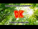 スーパードンキーコング2 - フォレスト・インタールード / Donkey Kong Country 2 - Forest Interlude (REMIX)