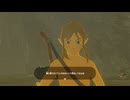 【実況】『ゼルダの伝説 ブレス オブ ザ ワイルド』 Part28