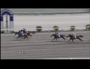 2024年8月4日高知競馬1R ２歳新馬 ゾクゾク