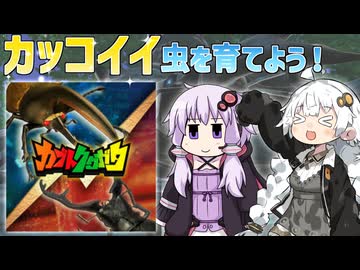 【VoiceRoid実況】夏の自由研究で虫を育てるあかりさん【カブトクワガタ】