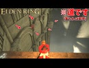 ただの壁の出っ張りがルートになってるのおかしいだろｗｗｗ #18 DLC編【ELDEN RING】
