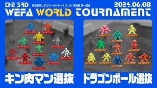 THE 3RD WEFA WORLD TOURNAMENT 準決勝第1試合