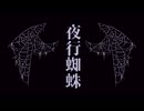 夜行蜘蛛