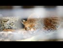 宇都宮動物園