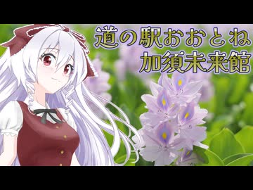 超ローカルお散歩　道の駅おおとね　加須未来館お散歩