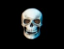 BIOHAZARD_OUTBREAK 道しるべ