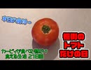 カービィが食べたものしか現実で食べられない生活 21日目(現実ご飯編)【星のカービィ ディスカバリー】