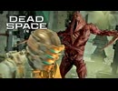 DEAD SPACE：デッドスペースを実況プレイいたします。 Part14