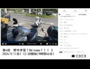 七原くん「第4回　野外学習！Okinawa！！！ 3」　③【2024/9/1】