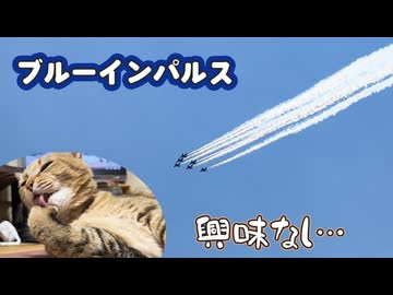 ブルーインパルスがやってきましたが…