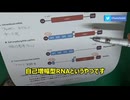 原口一博 2024-09-03 2024.1.1鹿先生レプリコンワクチンがもう1つ登場する。それが現在マウス実験中のtaRNAワクチン。