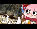 謎の耐久動画part5