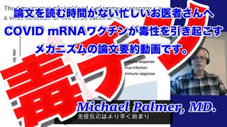 COVID mRNA ワクチンが毒性を引き起こすメカニズムをMichael Palmer, MDが解説した動画です。