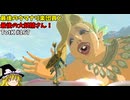 【ゆっくり実況】初めてのティアーズオブザキングダム！ part167【ティアーズオブザキングダム】