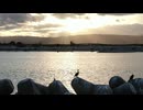 【フリーBGM】波打ち際のギタリスト
