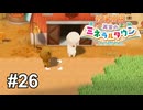 「ふわふわ祭り見たから飼いたくなったんじゃね？」【牧場物語 再会のミネラルタウン】# 26